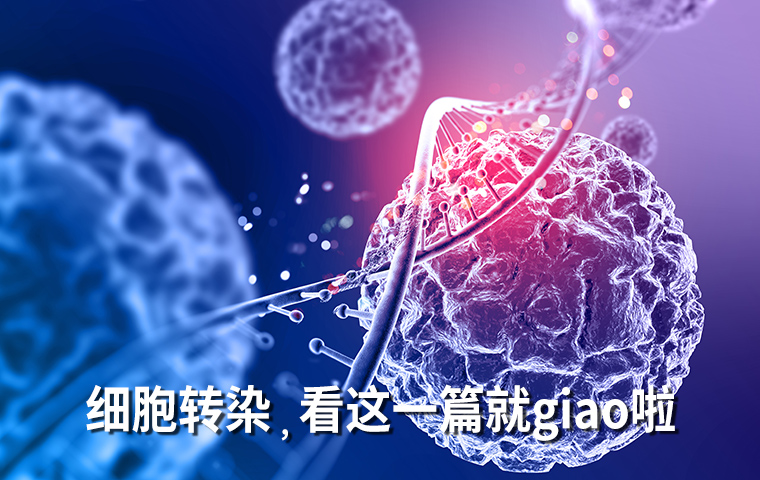 你想了解的“細胞轉染”，看這一篇就giao啦！