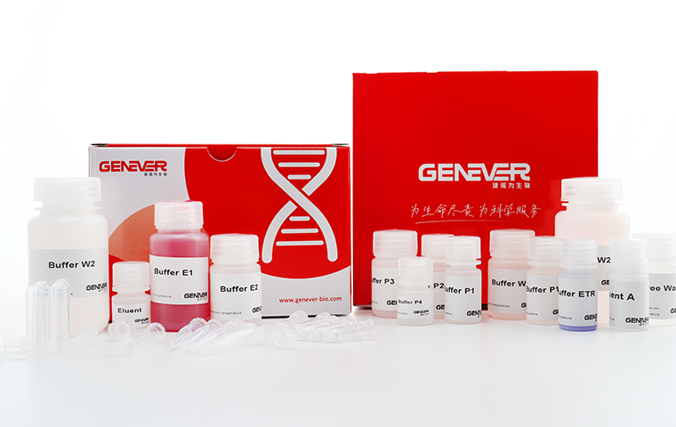 新品速遞 | 實力所在，極致高效的核酸純化專家，GenePrep驚艷來襲