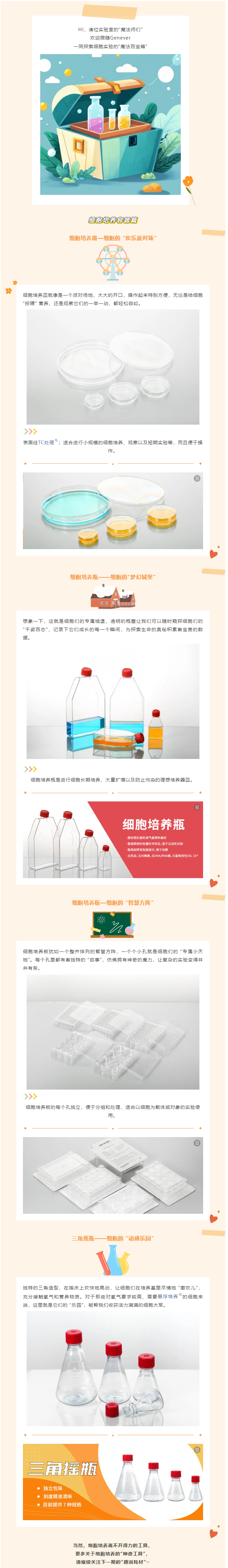 QQ截圖20241223085806.png