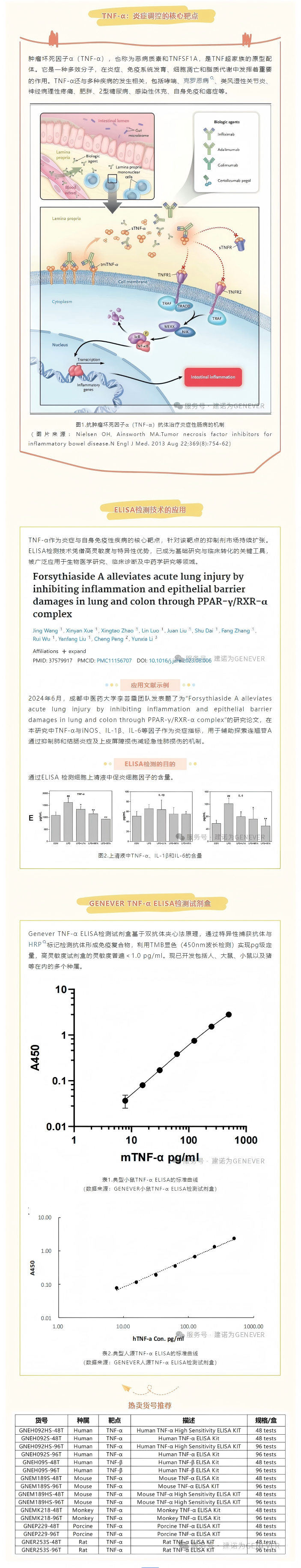 QQ截圖20250717095019(1)(1).png
